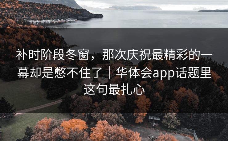 补时阶段冬窗，那次庆祝最精彩的一幕却是憋不住了｜华体会app话题里这句最扎心