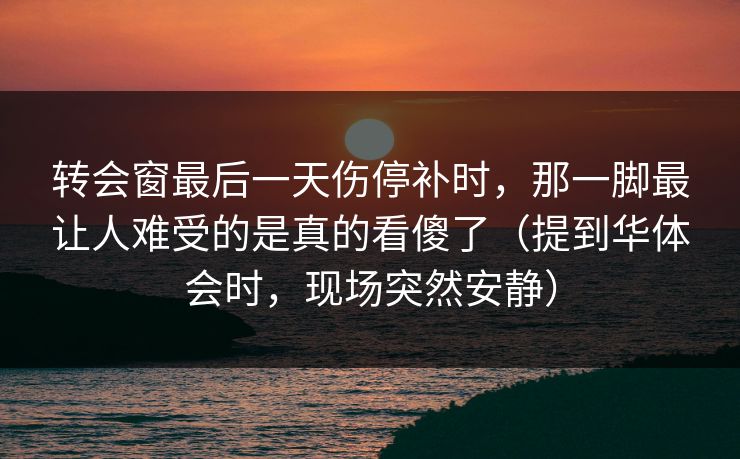 转会窗最后一天伤停补时，那一脚最让人难受的是真的看傻了（提到华体会时，现场突然安静）